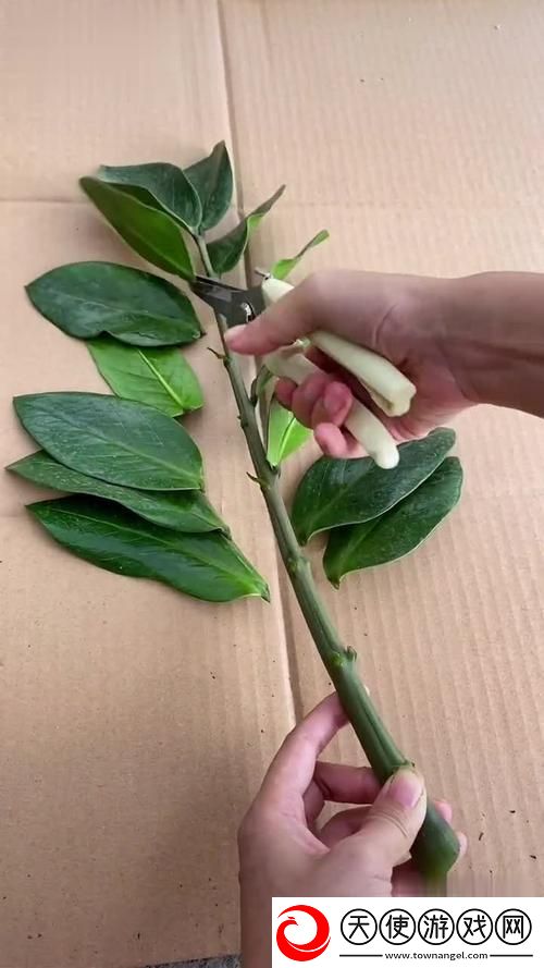 女性坐着扦插BB有哪些好处-网友：这真是太赞了！
