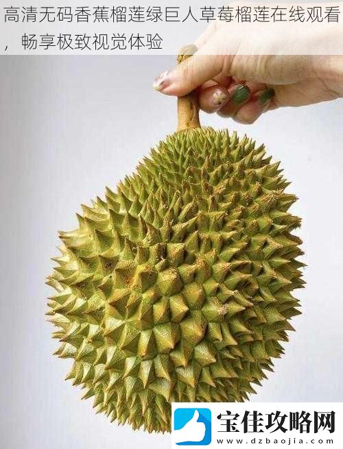 高清无码香蕉榴莲绿巨人草莓榴莲在线观看-畅享极致视觉体验