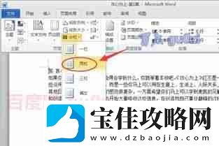 Word分栏后如何添加分隔线-Word文档分栏添加分隔线方法