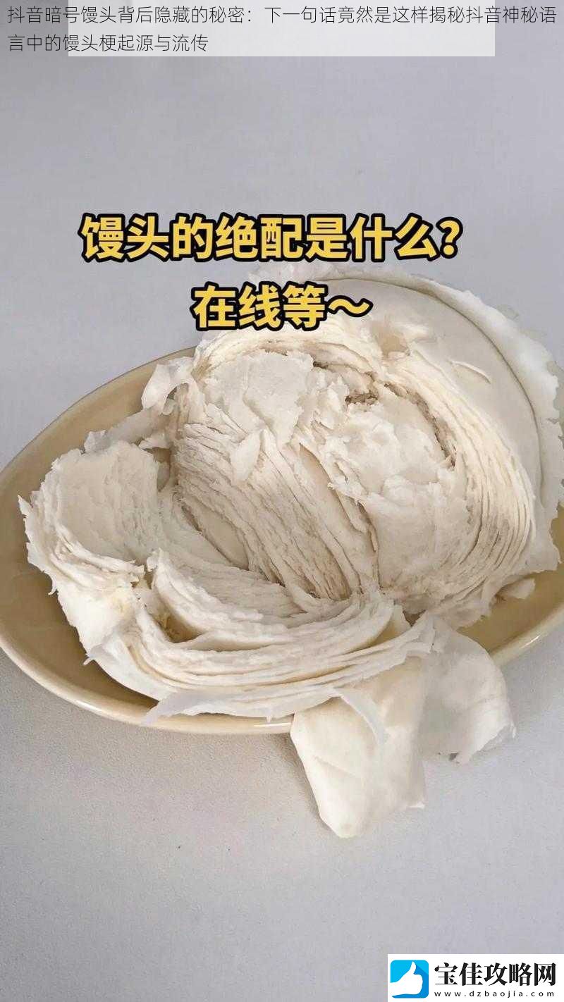 抖音暗号馒头背后隐藏的秘密：下一句话竟然是这样揭秘抖音神秘语言中的馒头梗起源与流传