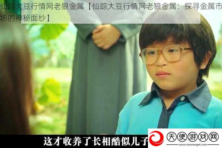 仙踪大豆行情老狼金属【仙踪大豆行情老狼金属