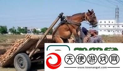 人马畜禽company：赋能现代农业的新力量