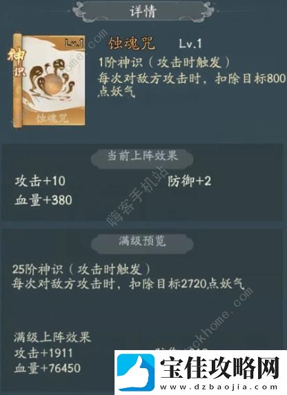 寻道大千朱雀燃烧流搭配攻略