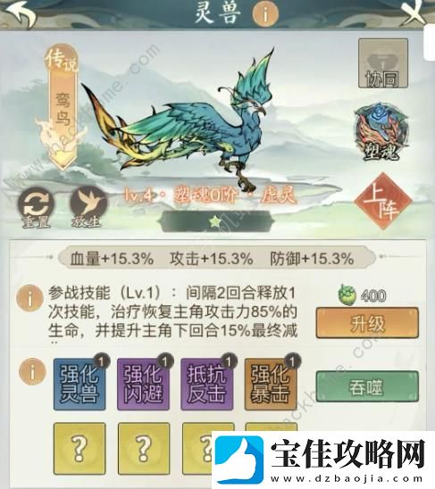 寻道大千朱雀燃烧流搭配攻略