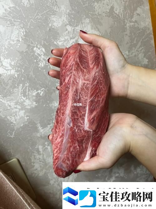 探秘“大肉大捧一进一出的视频”的背后故事
