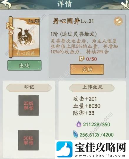 寻道大千朱雀燃烧流搭配攻略