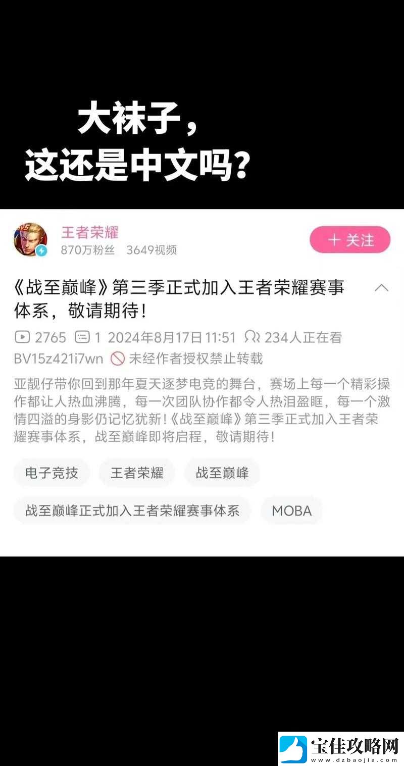 王者荣耀战至巅峰-深入解析口令的重要性及高效管理技巧