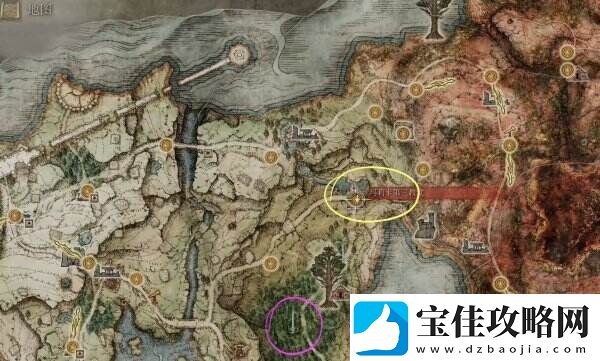 艾尔登法环雾林废墟地图在哪 雾林废墟全流程图文攻略