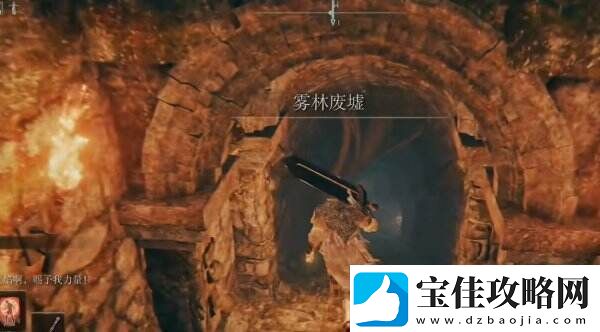 艾尔登法环雾林废墟地图在哪 雾林废墟全流程图文攻略