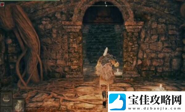 艾尔登法环雾林废墟地图在哪 雾林废墟全流程图文攻略