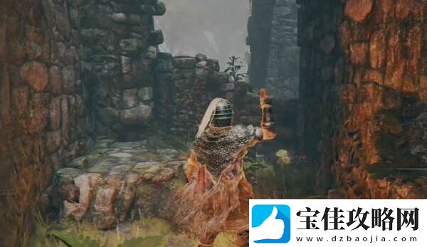 艾尔登法环雾林废墟地图在哪 雾林废墟全流程图文攻略