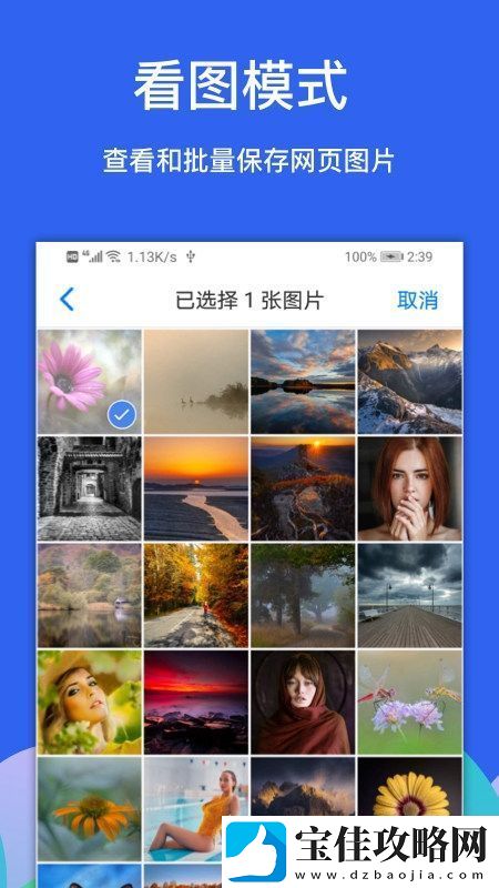 alook浏览器官方最新版无插件无广告-alook浏览器官方最新版安卓下载