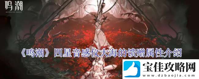 鸣潮四星音感仪大海的馈赠有什么属性