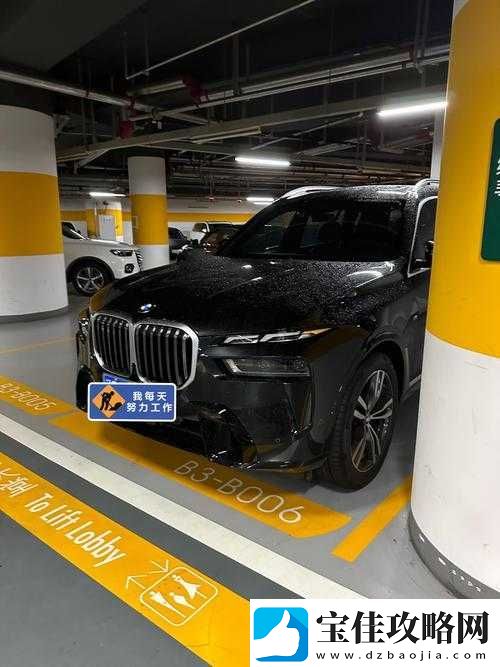 x7x7-任意噪入口直达大象：开启神奇之旅的独特通道