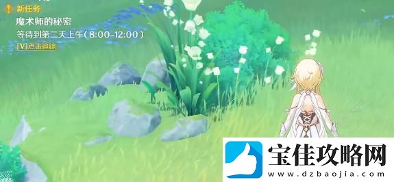 原神魔术师的秘密是什么