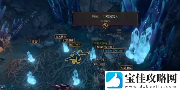 博德之门3魔索布莱城之影怎么得