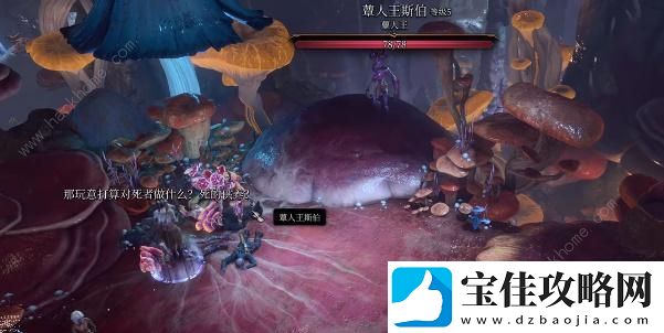 博德之门3魔索布莱城之影怎么得